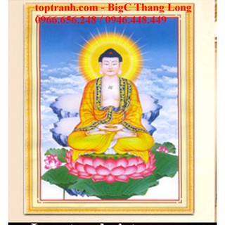 Tranh thêu chữ thập Phật Dược Sư A1103 Chưa thêu