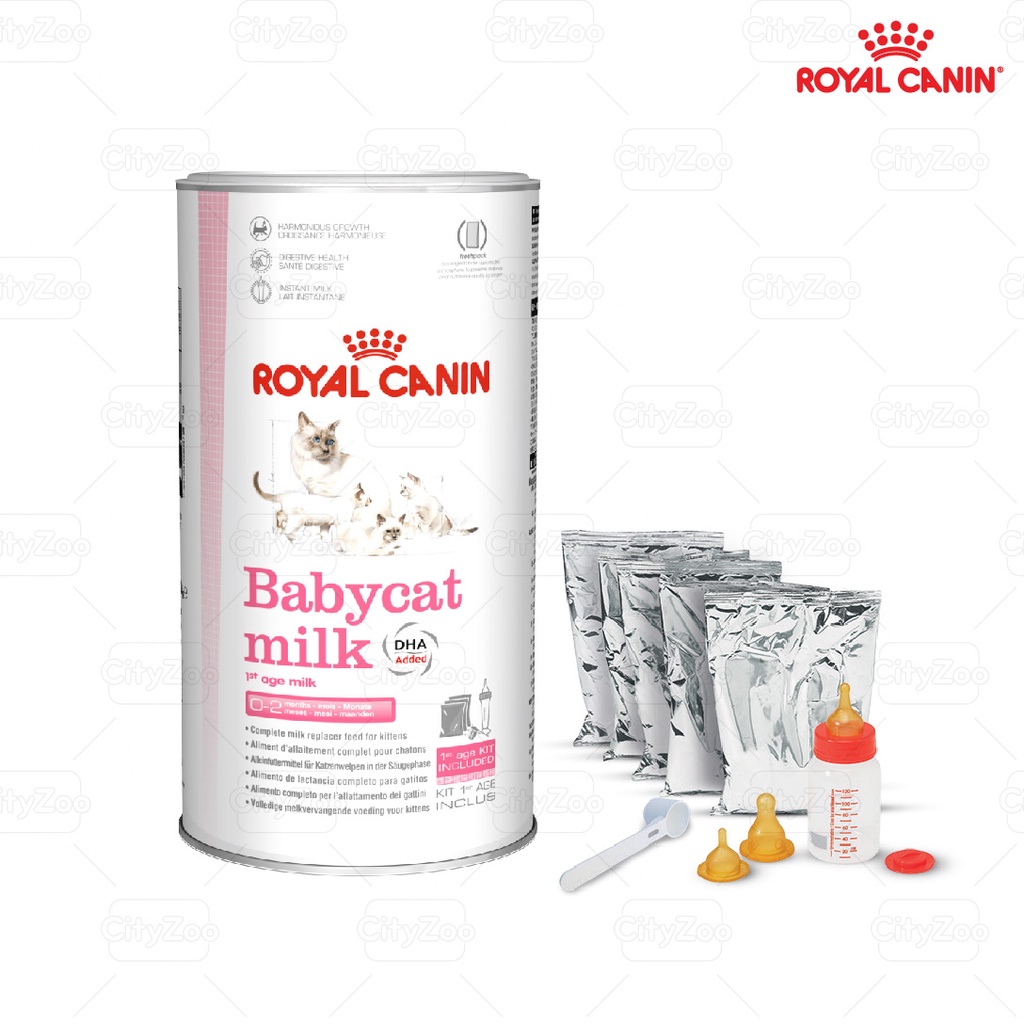 Sữa ROYAL CANIN nhập ĐỨC cho mèo mẹ mang thai, mèo con sơ sinh, thay thế sữa mèo mẹ 300g