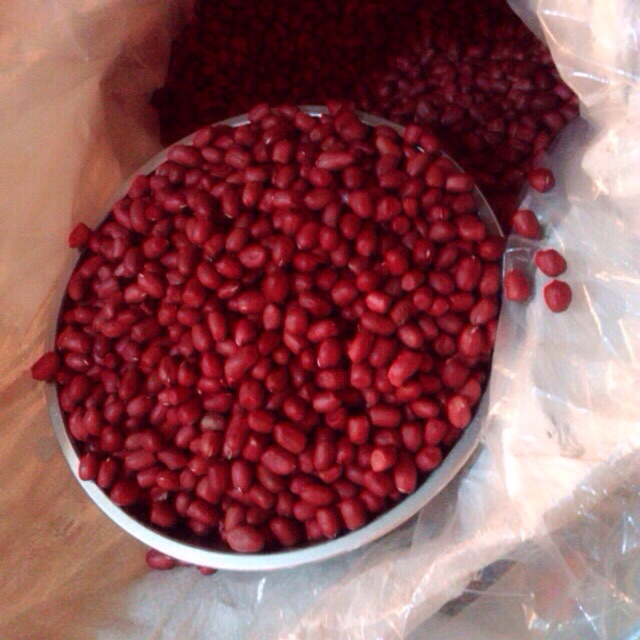 Đậu phộng  đỏ 500g