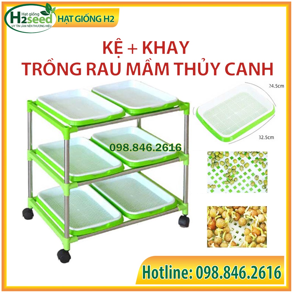 Kệ + khay trồng rau mầm thủy canh chuyên dụng có bánh xe dễ dàng di chuyển