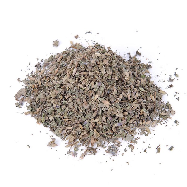 Cỏ bạc hà catnip cho mèo