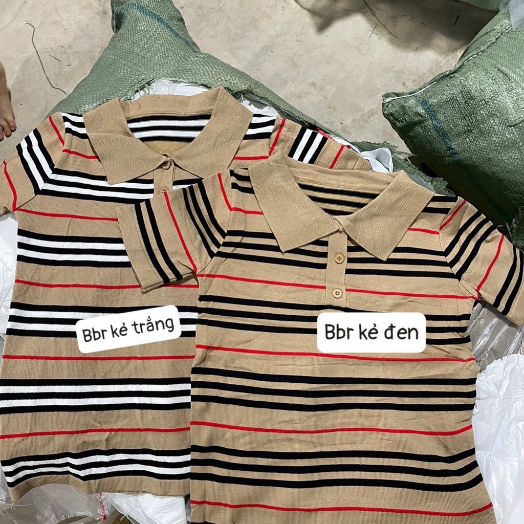 Áo  polo kẻ Buberry hot hit hàng QC
