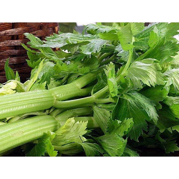 Phân bón lá Thái Lan RAJA 21-21-21 Plus 1kg ra hoa tập trung nhiều trái, chăm sóc bộ rễ