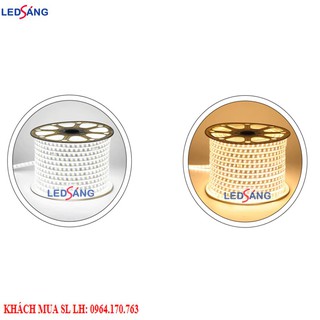 Đèn LED dây màu vàng, màu trắng - 10mm LEDSANG