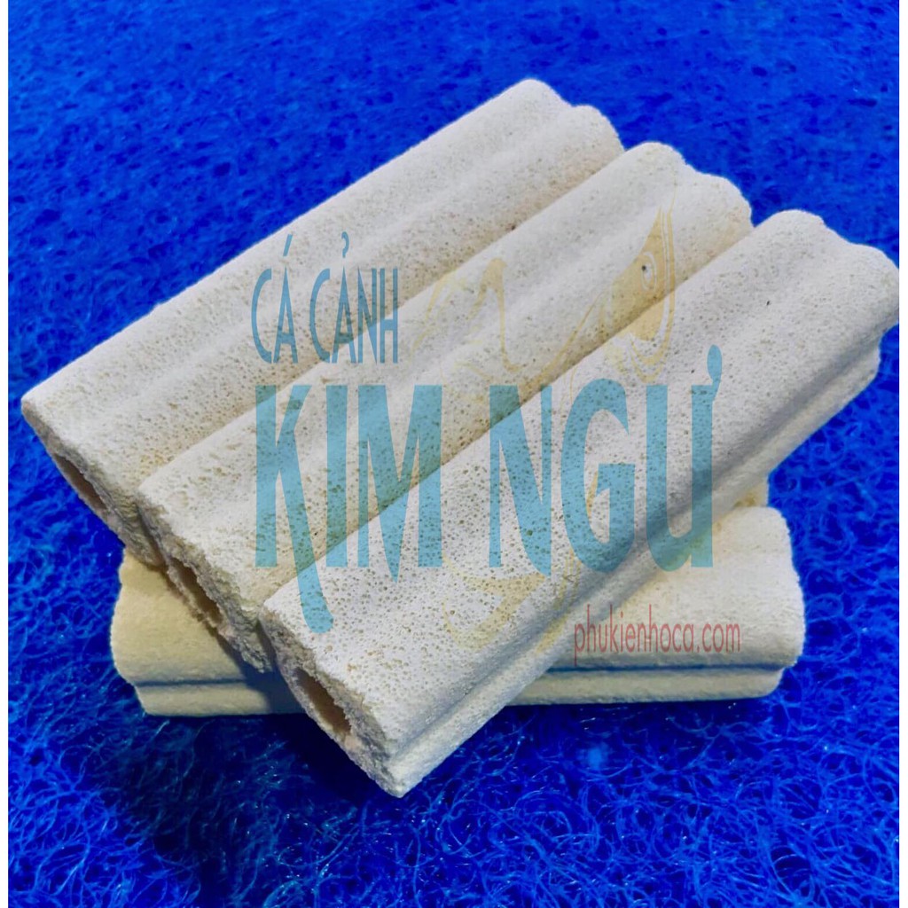 Sứ Thanh Hoa Mai Vàng Lọc Nước Hồ Cá 15*3.5*3.5 cm