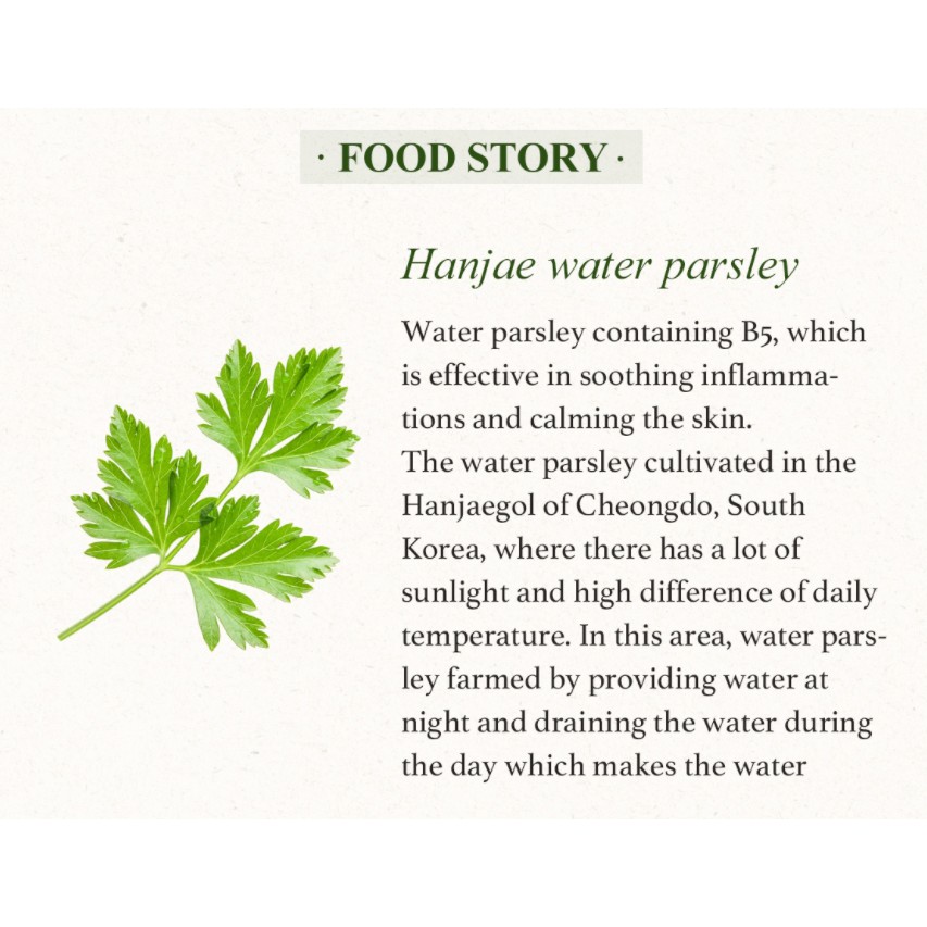 Pantothenic Water Parsley