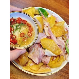 GÀ Ủ MUỐI NỮA CON