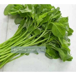 Hạt giống dền xanh Sen Nông 50gr