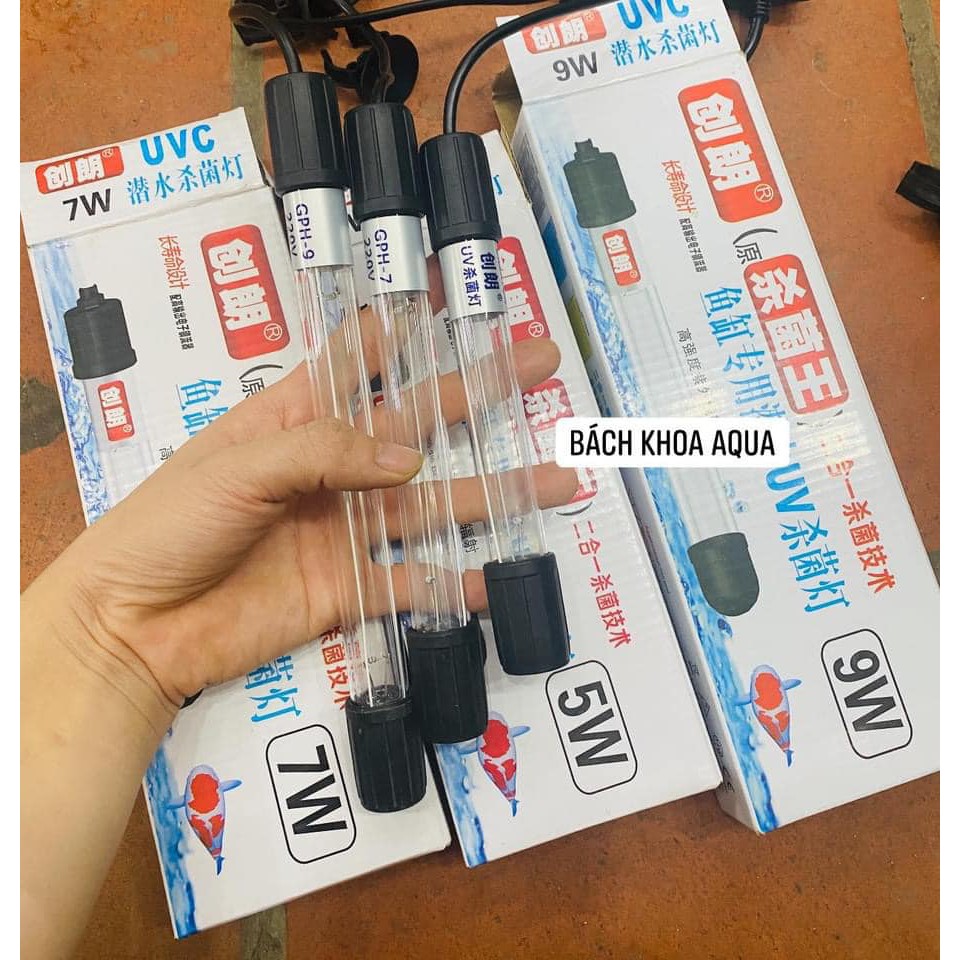 Đèn UV diệt rêu - khử khuẩn hiệu quả