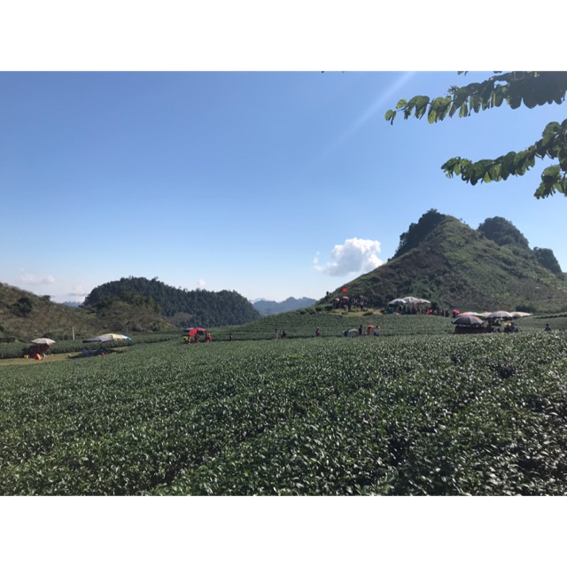 Nông sản - Đặc sản vùng miền