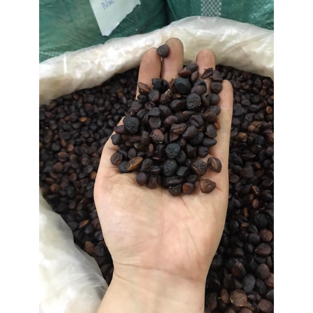 Hạt Dổi Rừng Tây Bắc 100G Gia Vị Ướp Món Thịt Nướng Đồ Chấm Chuẩn Vị Núi Rừng