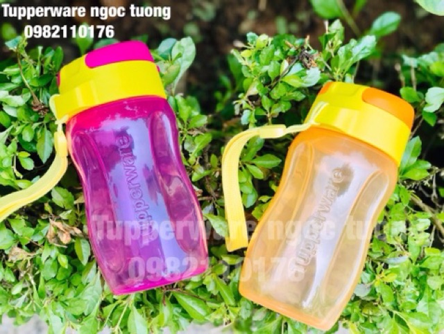 Bình nước Eco Gen II 310ml