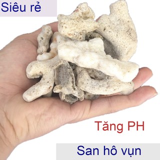 San hô vụn lọc nước hồ cá 1kg