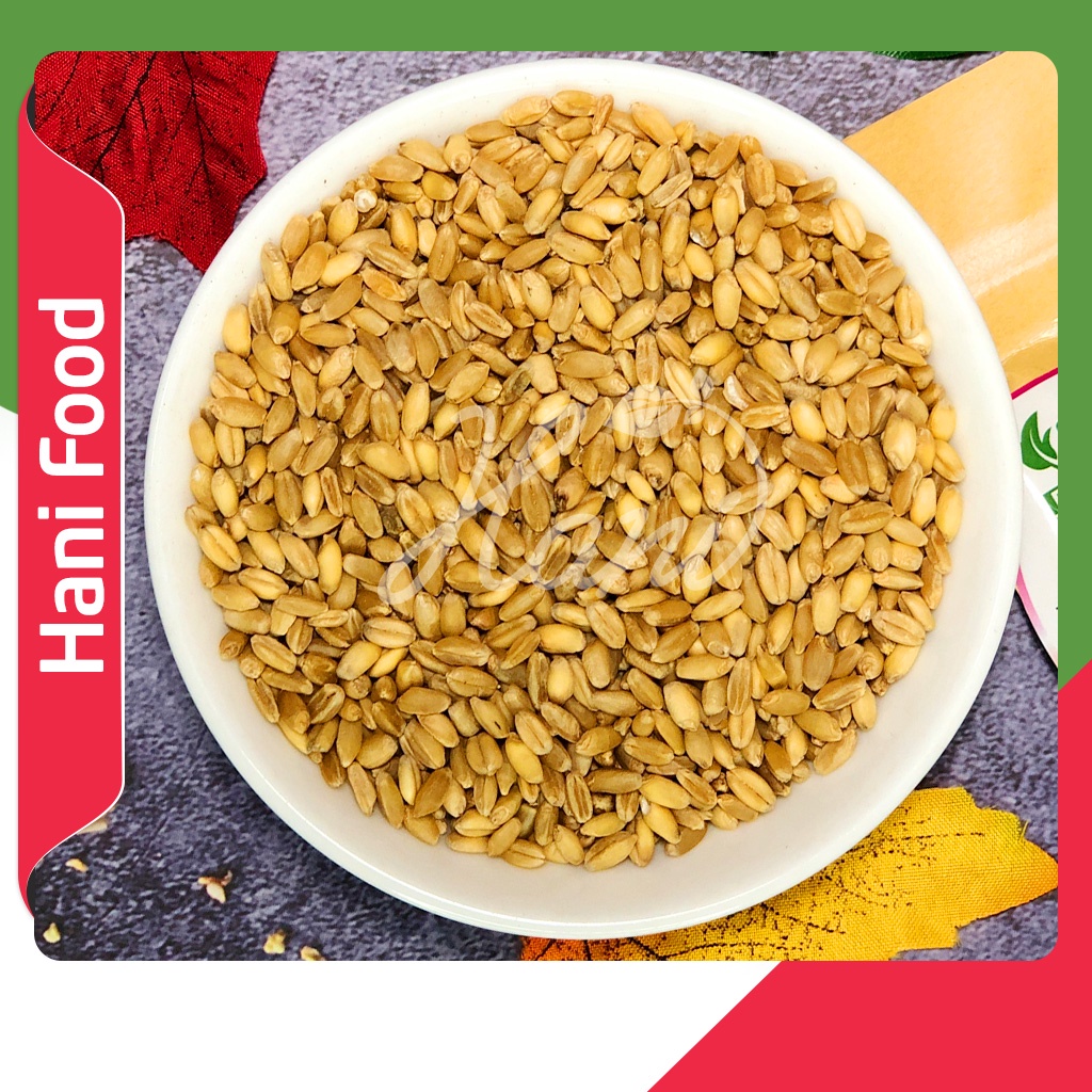 1Kg Hạt Giống Cỏ Lúa Mì, Cỏ Mèo, Không Biến Đổi Gen - Hỗ trợ tiêu hóa, Bổ sung chất xơ ☀️ Nông Sản Hani Food