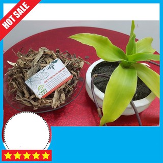 Cây Lược Vàng 500g Tươi Và Khô - Hoàn Toàn Tự Nhiên