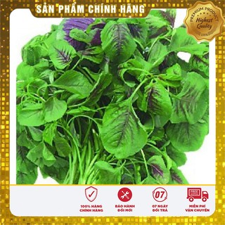 Hạt giống rau dền xanh cao sản