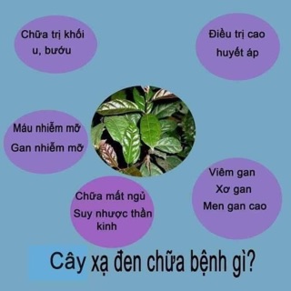 Xạ đen khô Hoà Bình 1 kg