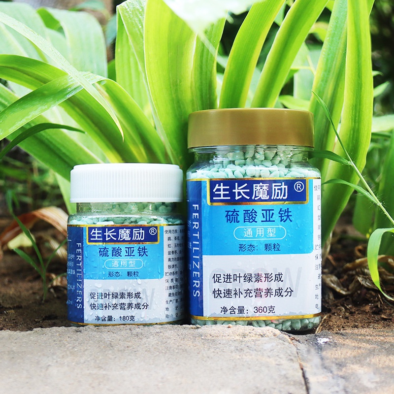 Phân bón Sắt Sunfat FeSO4   tăng cường diệp lục, phòng vàng lá do thiếu sắt cây trồng