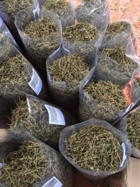 Cà gai leo khô ( gói 1kg ) bổ gan, điều trị các bệnh về gan