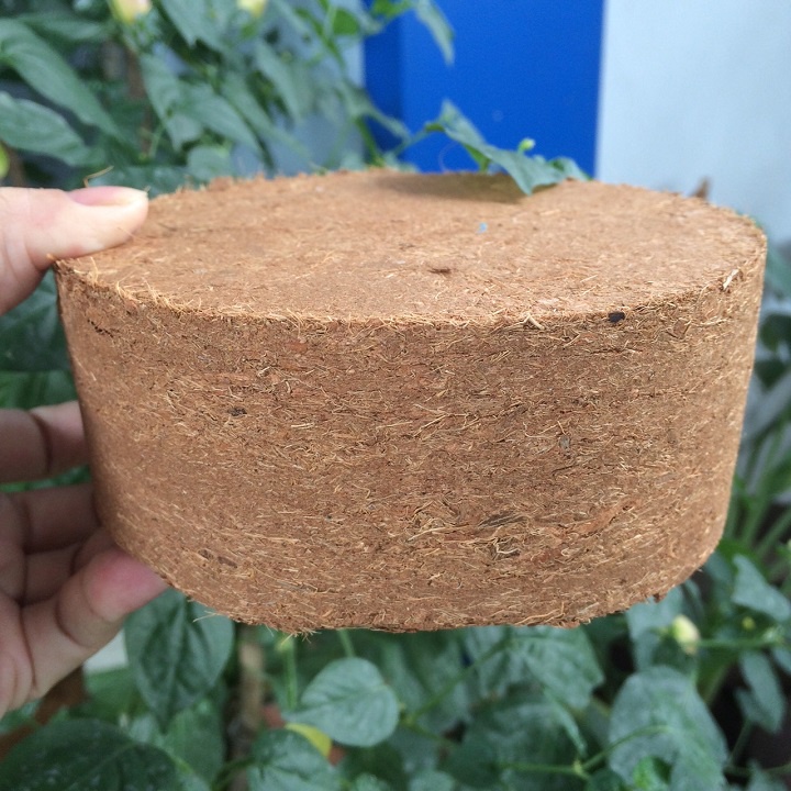 BÁNH XƠ DỪA: GIÁ THỂ SẠCH TRỒNG RAU, CÂY ĂN TRÁI, ƯƠM MẦM