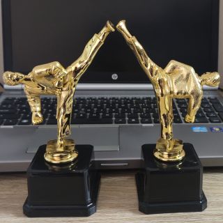 Cúp lưu niệm Taekwondo. Tặng kèm móc khóa Taekwondo cute