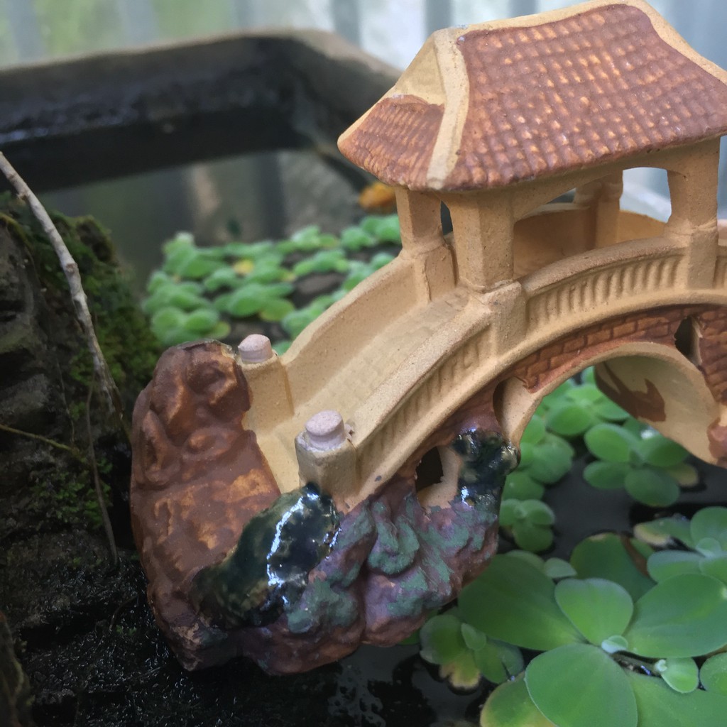 Cây Cầu Có Mái Hiên Trang Trí Hồ Cá, Bể Cá-Hòn Non Bộ