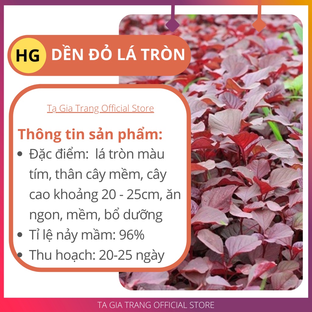 Hạt giống rau dền đỏ lá tròn - Shop hạt giống Tạ Gia Trang