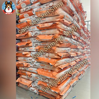 Thức ăn mèo Castrang (400g & 5kg)