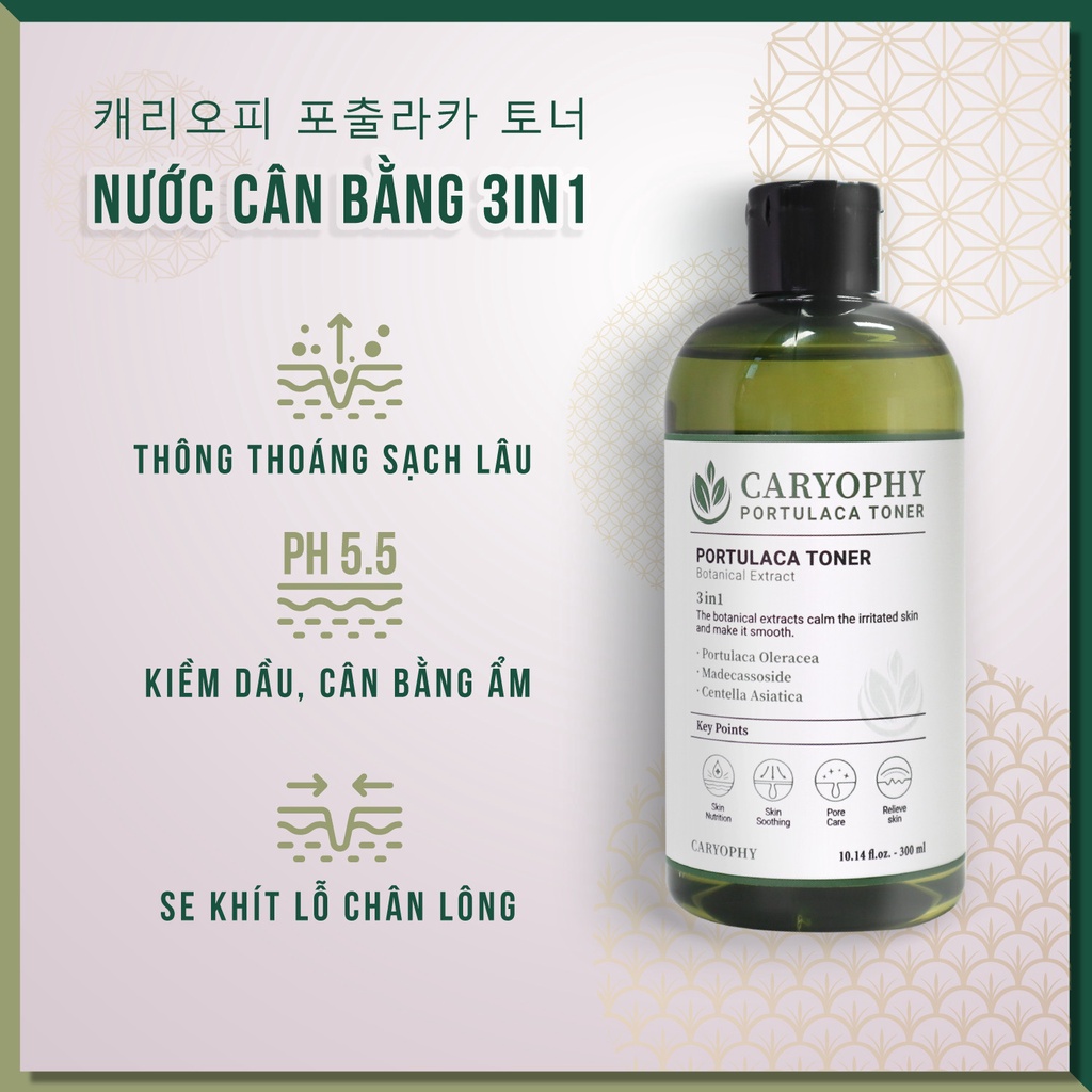 Toner cho da hỗn hợp thiên dầu da mụn da khô da nhạy cảm Caryophy Hàn Quốc 50ml
