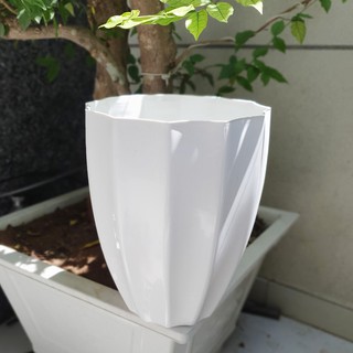  Bộ 2 chậu trồng hoa trái khế trắng cỡ lớn 31x38cm