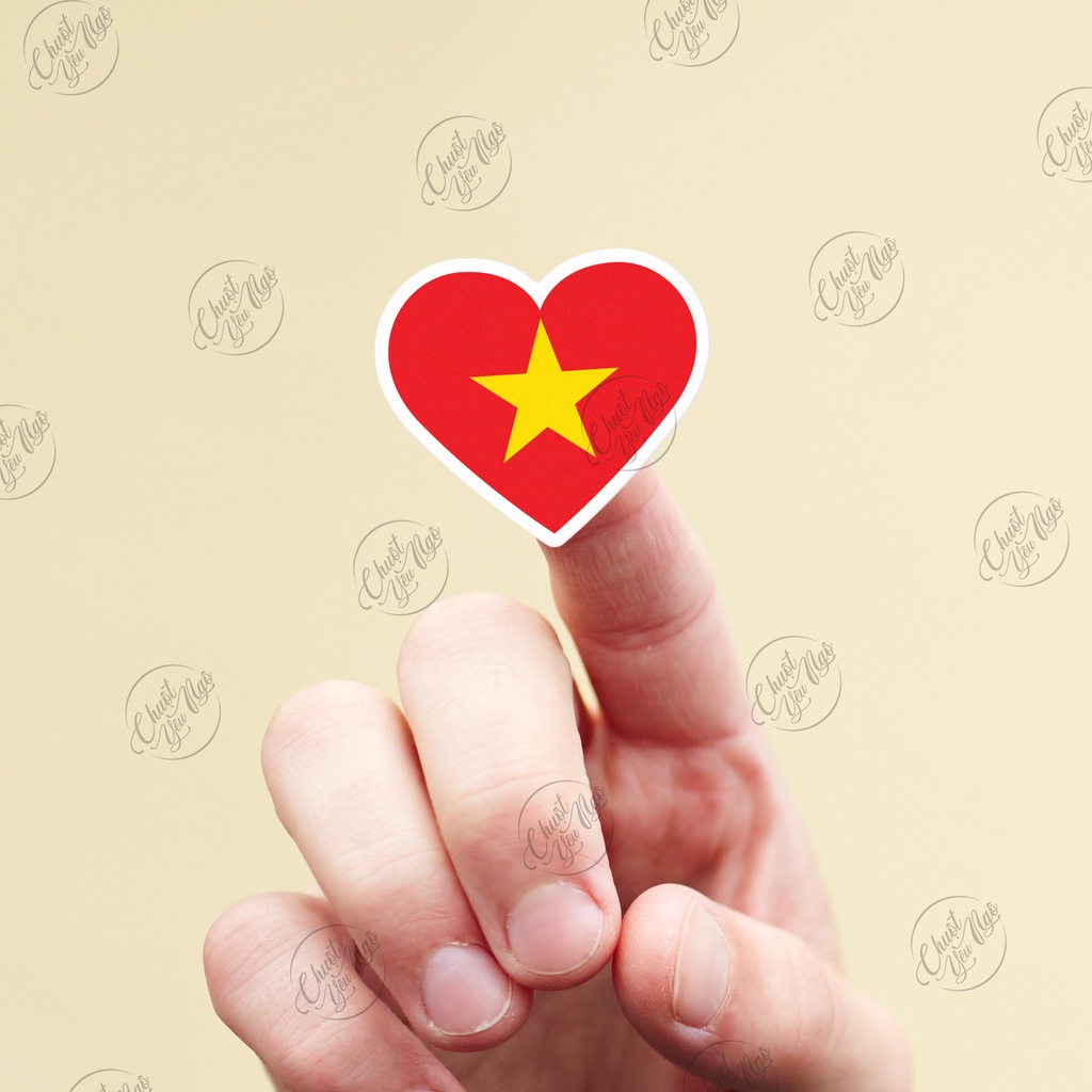 Bộ 15 sticker DÁN MÁ cổ động bóng đá Việt Nam vô địch đá bóng cờ đỏ sao vàng trang trí xe tem decal