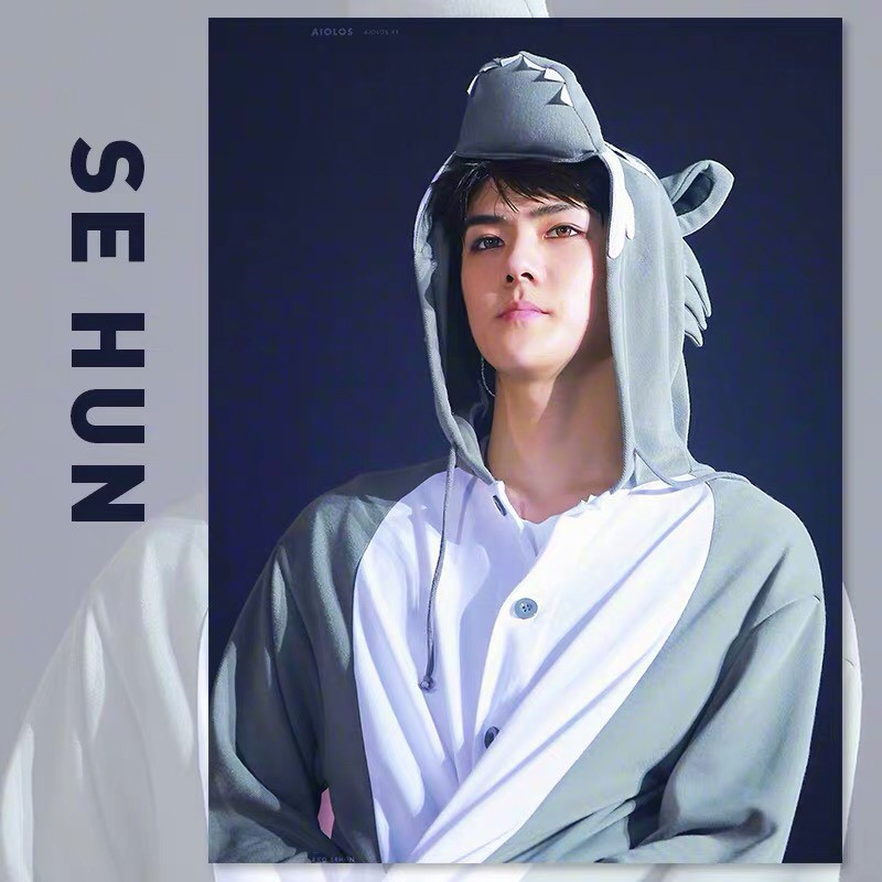 [Order]Tranh tô màu theo số sơn dầu số hóa Oh Sehun EXO