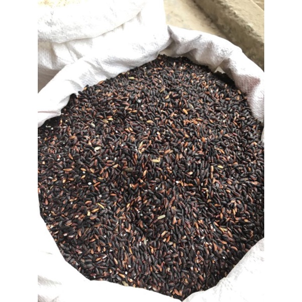 Gạo nếp cẩm Điện Biên dẻo thơm 1kg