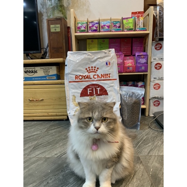 Hạt Royal Canin Fit 32 túi 1KG - Royal Canin Kitten - Royal Canin 36 - Hạt Khô Cám Mèo [Thức ăn dành cho mèo]