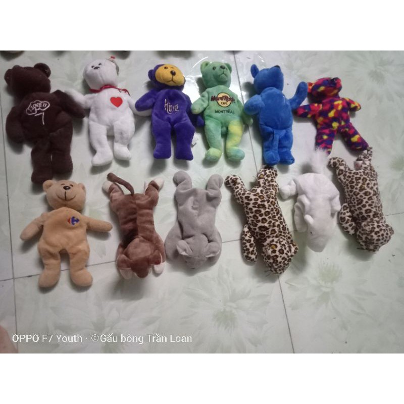 Gấu bông có hạt nhựa bên trong