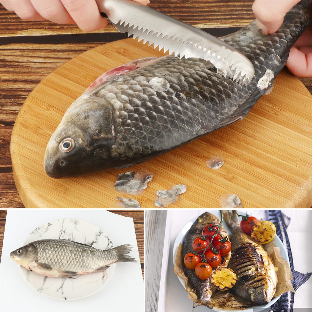 Dụng Cụ Cạo Vảy Cá Tiện Lợi