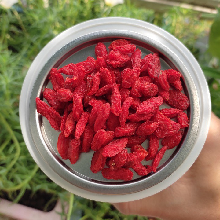 [Chính hãng - Date 5/2023] Kỷ tử sấy khô Goji Berreis Organic Traditions hộp 454gr của Mỹ | BigBuy360 - bigbuy360.vn