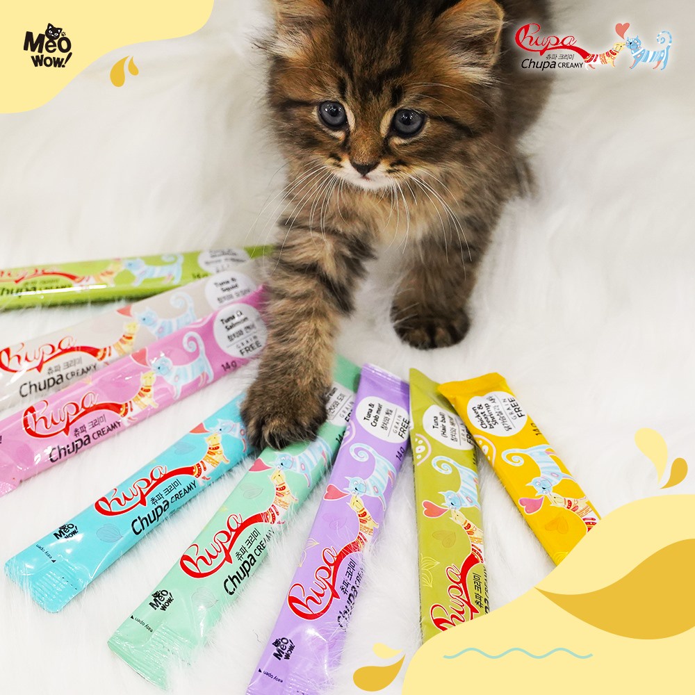 Súp thưởng cho mèo Chupa meowow 14g, thức ăn tăng cân snack creamy Con Mèo Xiêm