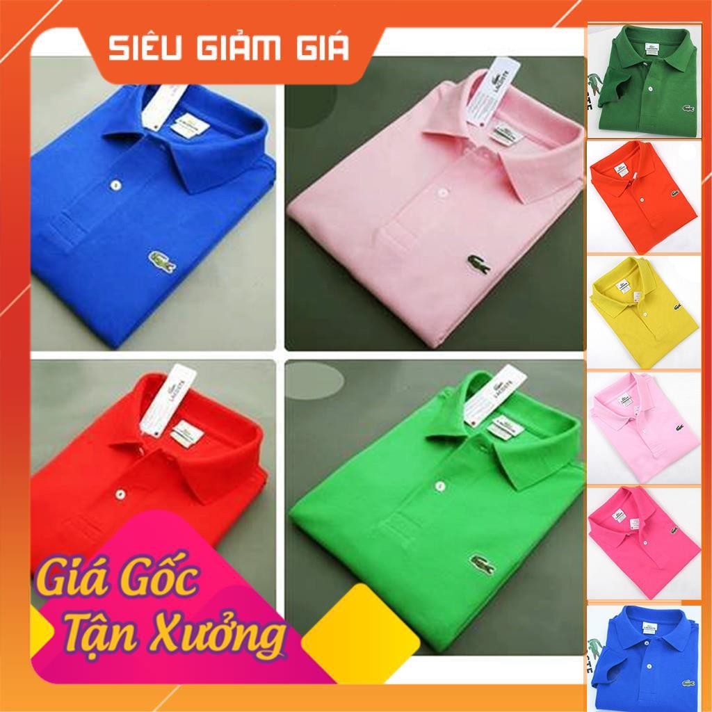 Áo thun thêu logo Lacoste hàng xuất khẩu cao cấp cho Nữ | BigBuy360 - bigbuy360.vn