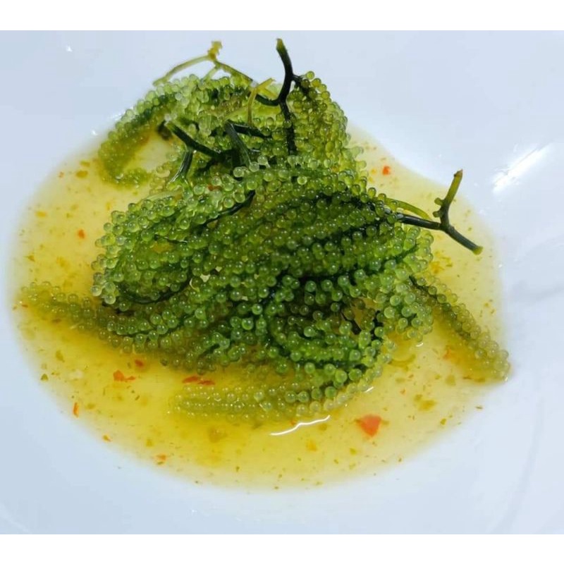 Rong nho tươi 1kg-