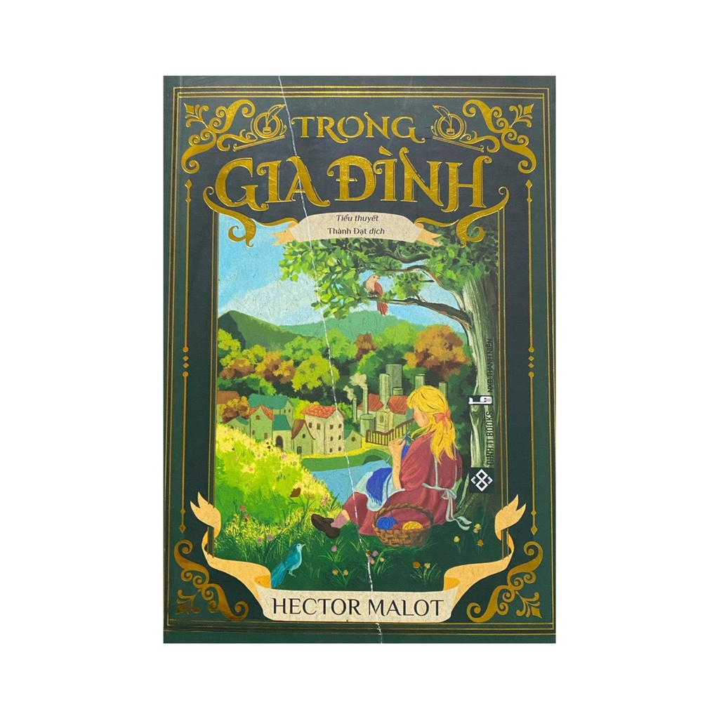 Sách - Trong gia đình ( Đinh Tị ) - 99k