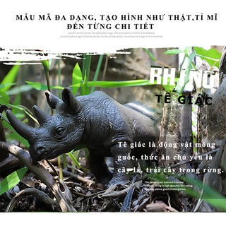 Đồ Chơi Mô Hình Các Con Thú Hoang Dã