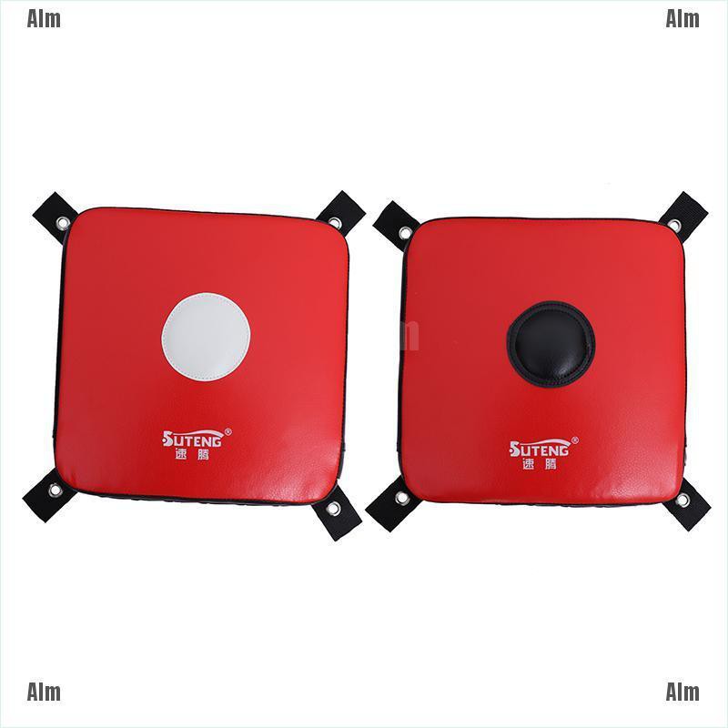 Đệm Tập Đấm Bốc Gắn Tường Chuyên Dụng