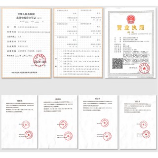 (Có sẵn) Bút lông ngỗng cổ trang