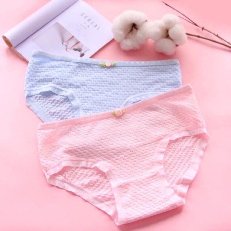 Quần lót cotton nơ hoa siêu đẹp Q 104- CHILL HOUSE