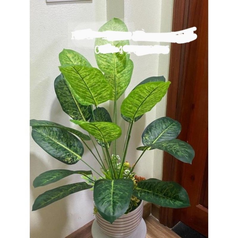 Cây giả/ Cây cảnh 18 lá các mẫu cao 70 - 80 cm và 1,1m decor không gian siêu đẹp