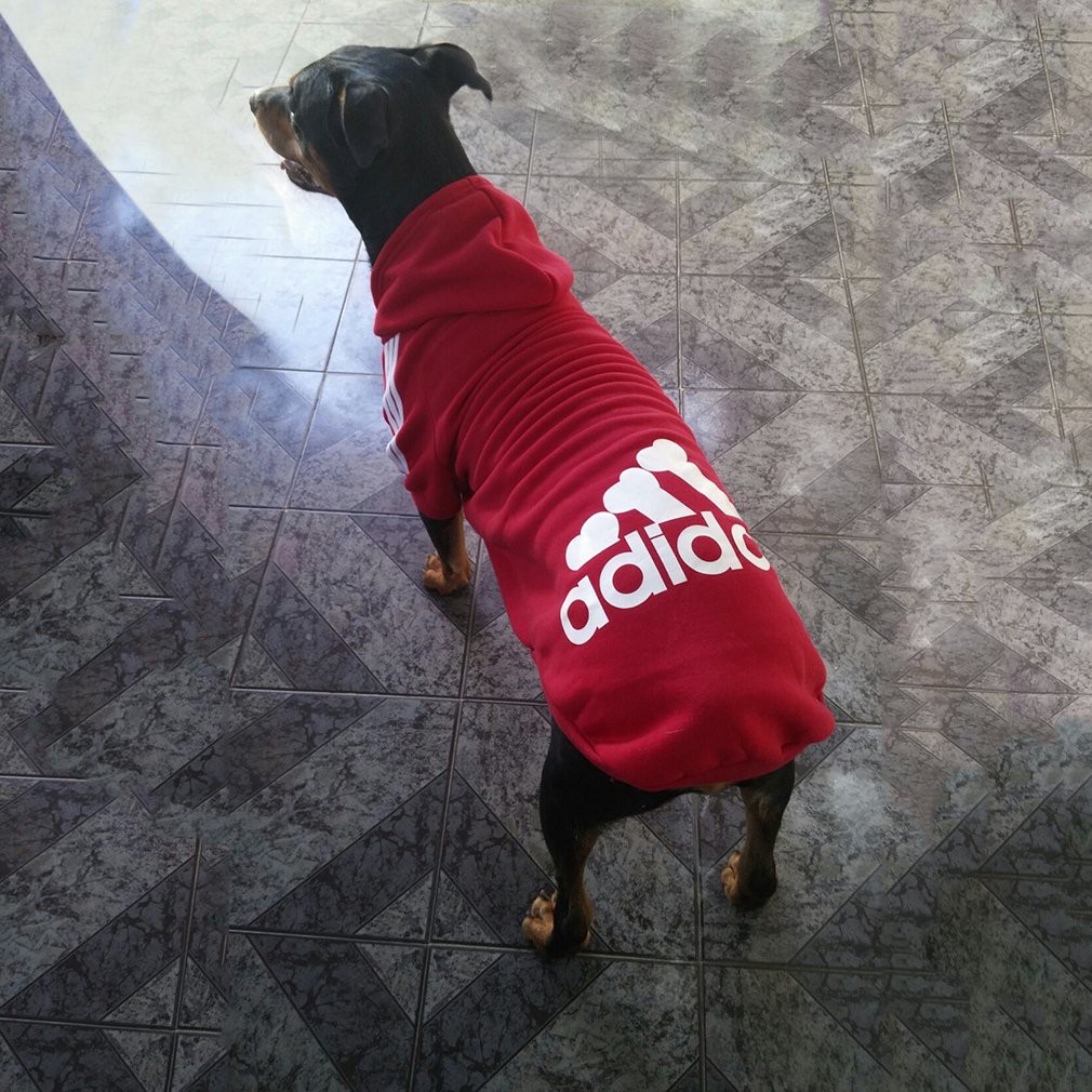 AIOⒶ Áo thun Hoodie cỡ lớn chó cưng