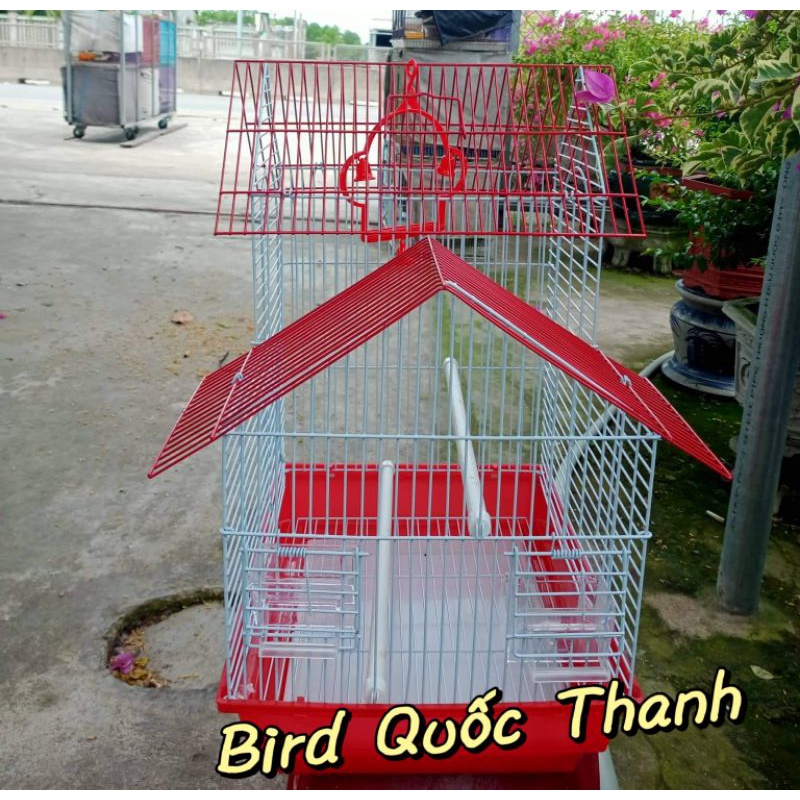Lồng TQ 2 mái nuôi yến phụng, vành khuyên..