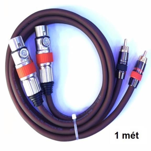 SIÊU RẺ-Cặp Dây jack Canon Cái ra AV 1m