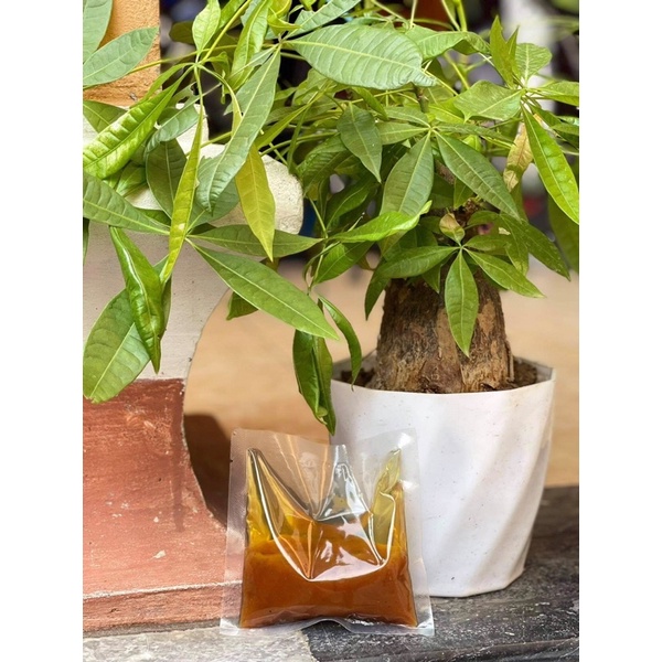 10 Gói Nước Cốt phở Bò & Gà Gia Truyền hương vị xưa